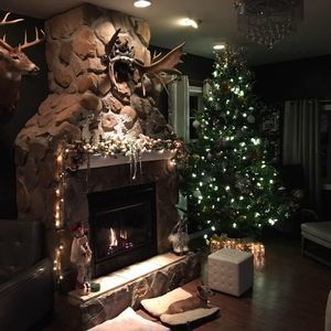 Meet your Posher, Geno